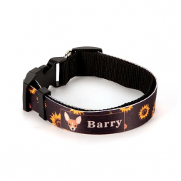 Collar ajustable mascota