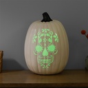 Cricut Vinilo Adhesivo Brillo en la Oscuridad