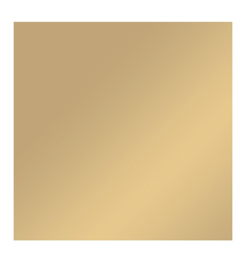 [009111] Cricut Joy Vinilo adhesivo Permanente | 14 x 300 cm (Dorado)