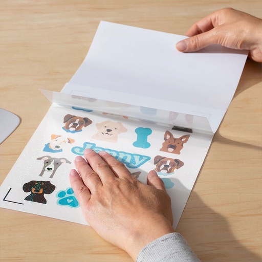 [014012] Cricut Set de Hojas Impermeables Imprimibles Holográficas (5 hojas A4) (Blanco)