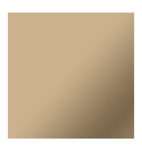 [012200] Cricut Smart Vinyl Permanent Mat 33 cm x 3,6 m (Champagne)